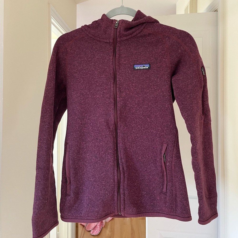 Patagonia Better Sweater with Hood